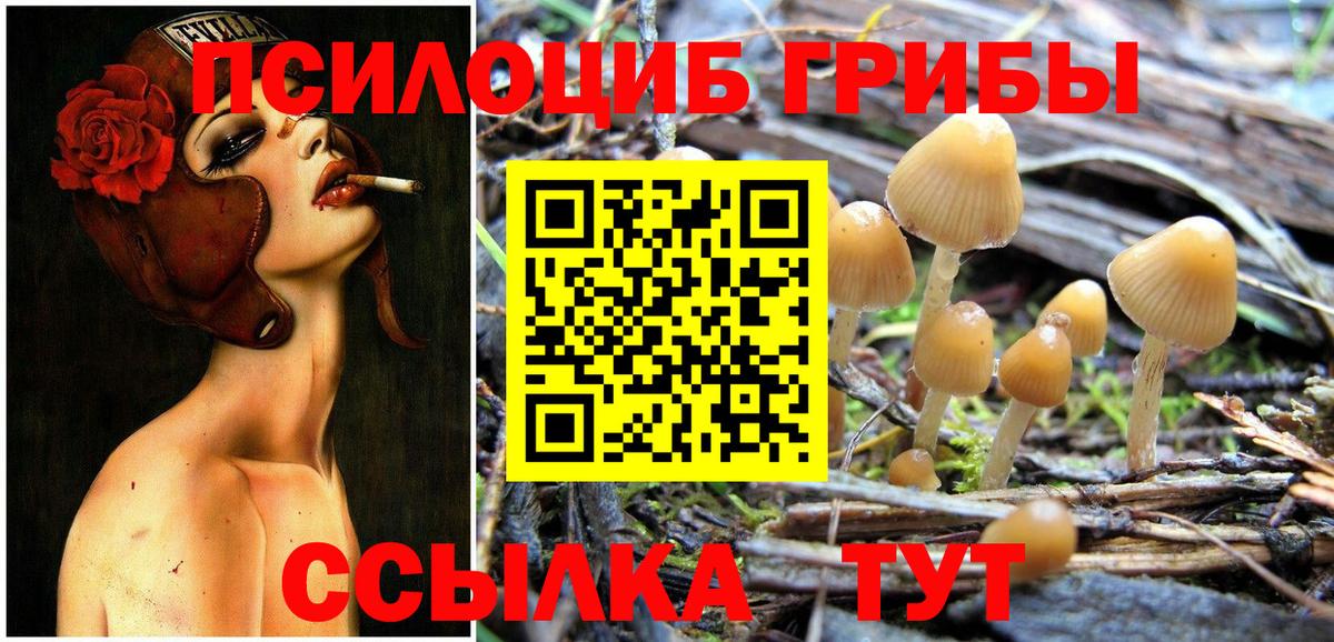 Златоуст  Псилоцибиновые грибы Psilocybine cubensis  Псилоцибиновые грибы Psilocybine cubensis  Вход с VPN 